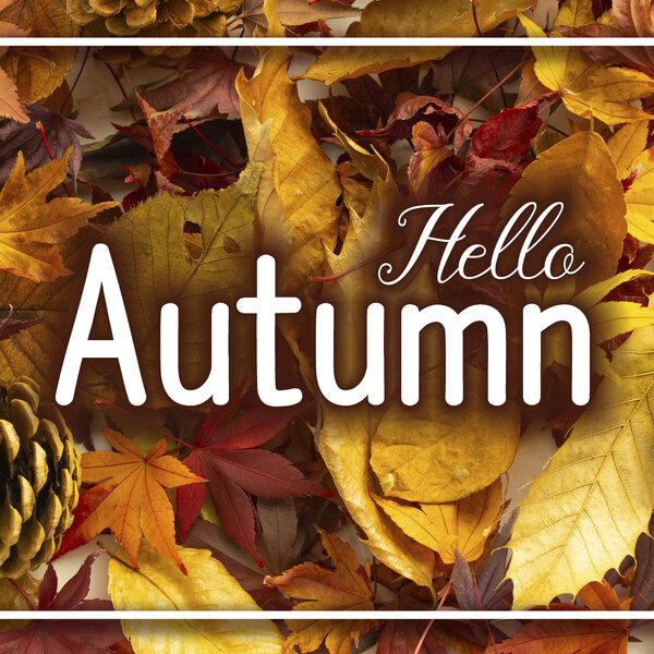 Hello Autumn 템플릿 — 낙엽 배경