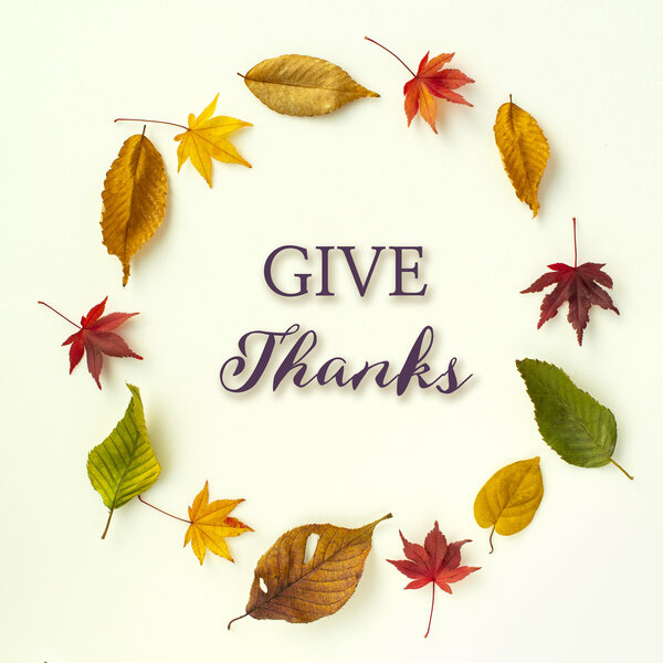 GIVE Thanks 템플릿 — 낙엽 원형